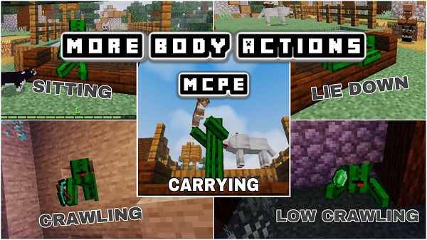 More Body Actions