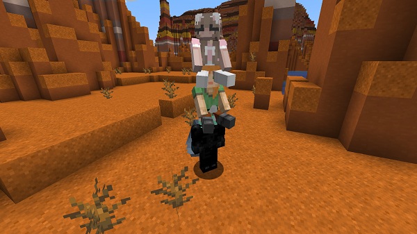 ride-players-mcpe