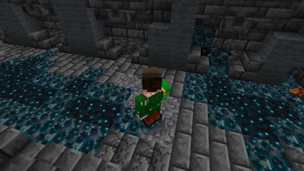 true warden armor addon download mcpe
