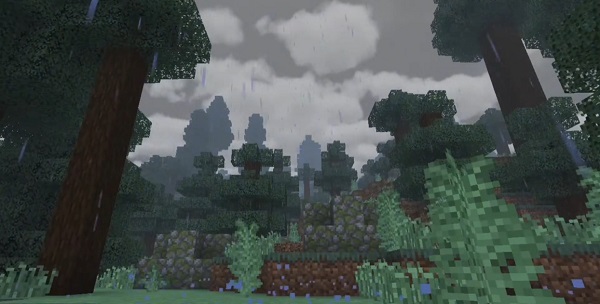 DGR-Shader-Official-Edition-minecraft