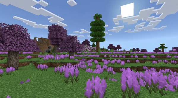 Expansive-Biomes-Addon-minecraft