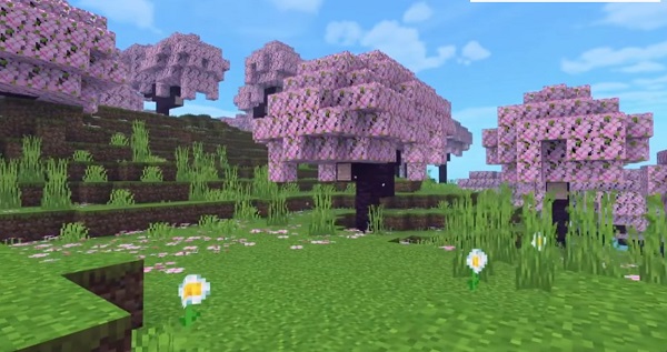 NRRDS-Shader-new