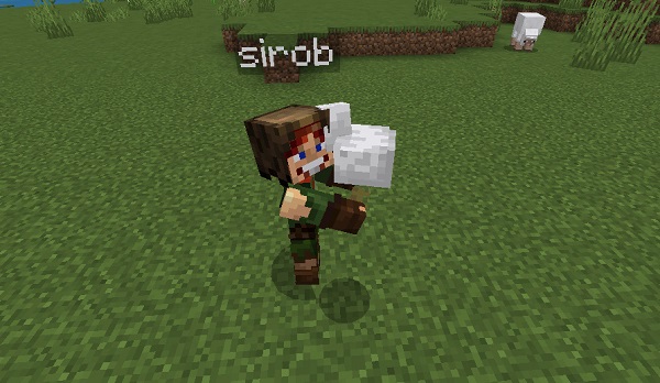 Pick-Up-Carry-Addon-download-mcpe