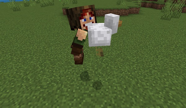 Pick-Up-Carry-Addon-download