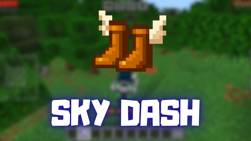 Sky-Dash-thumnail