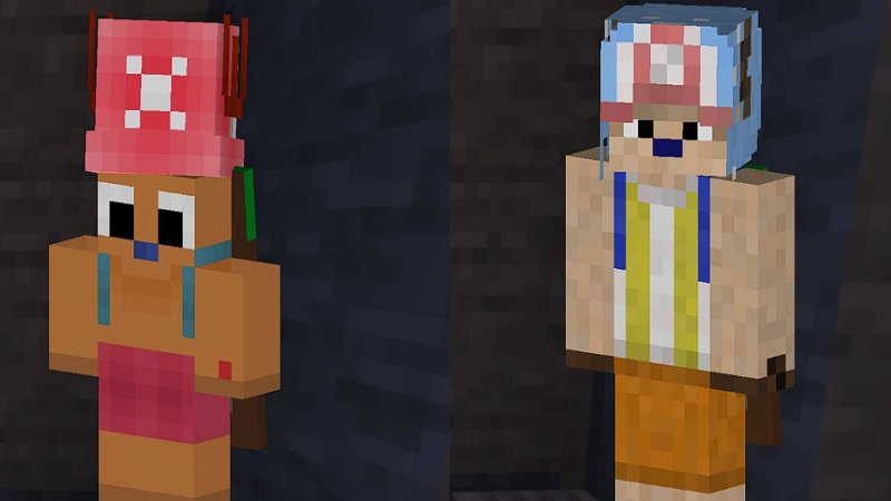 One-Piece-Skin-Addon-mcpe-download
