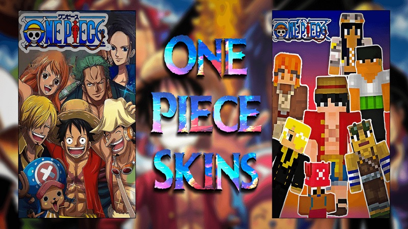 One Piece Skin
