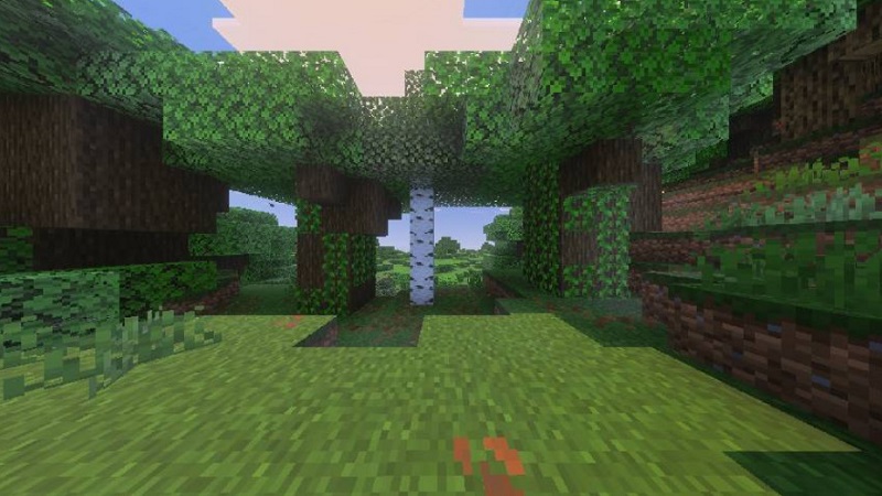 Taller-Trees-Addon-minecraft
